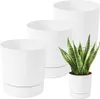 Three white plant pots of varying sizes are arranged diagonally, with the smallest pot containing a snake plant in the foreground. Podgląd zdjęcia produktu