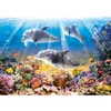 Castorland Dolphins Underwater 500 pcs, 500 Stück(e), Flora Produktbild-Vorschau 1