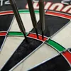 Winmau Dartboard Pro SFB Sisalfasern Turnierformat Produktbild-Vorschau 4