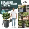 2 x XXL Pflanzkübel / Pflanztopf „LIKE“ Ø79xH70 cm - Produktbild-Vorschau 5