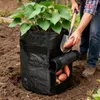 Pflanzsack für Gemüse, Blumen und Pflanzen mit Fenster Produktbild-Vorschau 6