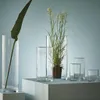 6er Set Dekogläser Vasen ZYLINDER H. 20cm D. 10cm Glas klar Produktbild-Vorschau 3