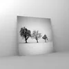Bilder auf glas - Einteilig - Winter Bäume Schnee - 70x70cm Produktbild-Vorschau 4