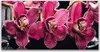 Tulup Leinwand-Bilder 120x60 Wandbild Canvas Kunstdruck Produktbild-Vorschau 1