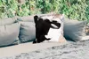 MuchoWow® Outdoor Kissen - Farbe - Design - Abstrakt - Produktbild-Vorschau 2