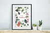 MuchoWow® Gerahmtes Poster Weihnachten - Zitat - Aquarell Produktbild-Vorschau 6