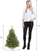 Triumph Tree Arbre de Noël artificiel Forest frosted - Voir les images du produit 3