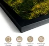 MuchoWow® MuchoWow® Gerahmtes Poster Kühe - Sonne - Gras - Produktbild-Vorschau 3