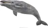 Collecta Szary Wieloryb - Collecta - Wysokiej jakości Podgląd zdjęcia produktu 2