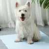 A white West Highland Terrier dog sits on a light blue pet cooling mat in front of a white curtain. Náhľad obrázku produktu