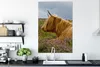 OneMillionCanvasses® - Leinwandbilder - 90x140 cm, Scottish Produktbild-Vorschau 4
