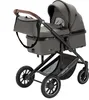 Poussette et poussette canne Daliya® FLEXI-PRO M 3 en 1 Voir les images du produit 11