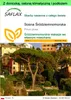 SAFLAX - Garden to go - Sosna Śródziemnomorska - 6 Nasiona Podgląd zdjęcia produktu 1