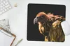 MuchoWow® Mauspad Mousepad Geier - Gold - Schwarz 30x30 cm Produktbild-Vorschau 5