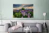 MuchoWow® Poster Blumenfeld - Lupinen - Sonnenuntergang Produktbild-Vorschau 5
