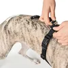 Imbracatura da panico Hunter Vario Rapid Nylon nero Taglia: Anteprima dell’immagine prodotto 11