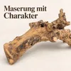 Kuwa Deko-Wurzel 25-30 oder 40-50 cm Maulbeerbaum Morus Produktbild-Vorschau 5