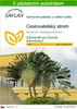 SAFLAX - Cestovatelský strom - Ravenala madagascariensis - Náhled obrázku produktu 1