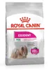 Royal Canin CCN MINI EXIGENT - sucha karma dla dorosłych Podgląd zdjęcia produktu 1