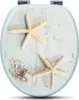 A toilet seat with a marine-themed design featuring starfish and pebbles. Produktbild-Vorschau