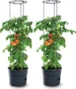 2 Stück Tomatentopf 153 cm Topf für Tomatenpflanzen 28L Produktbild-Vorschau 1