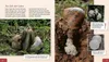 Meine große Tierbibliothek: Die Schnecke Produktbild-Vorschau 5