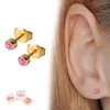Medizinische Ohrstecker / Gesundheitsstecker / Produktbild-Vorschau 1