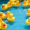 50 x Badeenten, Quietscheenten Kinder, Deko & Produktbild-Vorschau 3