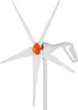500 W turbina eolica 12 V generatore eolico a 5 pale con Anteprima dell’immagine prodotto 9