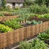WikliBOX | Set di 5 bordure per aiuole in vimini 100 x 20 Anteprima dell’immagine prodotto 5