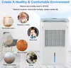 Greenmigo Deumidificatore e Purificatore d'aria 20L,Fino a Anteprima dell’immagine prodotto 2