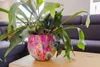 Collezione TS - Blumentopf Fiesta fucsia - 24x21 Anteprima dell’immagine prodotto 2