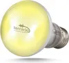 Terrario Bogande Luce solare abbronzante - lampadina Anteprima dell’immagine prodotto 2