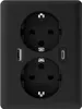 2USB 2U-449719 Unterputz-Dose mit USB-C®, mit Produktbild-Vorschau 1