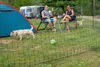 horizont Hundezaun easyLine, 25m lang, 110cm hoch - mobiler Produktbild-Vorschau 5