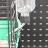 Lixit FBGB-12 Kaufeste Glasflasche für kleine Tiere/Vögel, Produktbild-Vorschau 7
