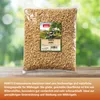 PANTO Erdnusskerne blanchiert 2,5kg - Für Wildvögel Produktbild-Vorschau 5