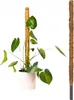 Support de Plante en Coco - 40 cm - Décoratif et Durable - Voir les images du produit 1