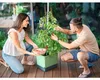 Gusta Garden Tom Tomato, Topfpflanzer, Freistehend, Produktbild-Vorschau 7