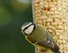 dobar Großer Futterspender mit Gitterröhre, Futtersäule für Produktbild-Vorschau 3