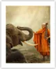 Poster - Poster ohne Rahmen - Elefant Mönch Stoßzahn - Produktbild-Vorschau 1