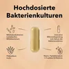 Medicom Probasis mit 4 hochdosierte Produktbild-Vorschau 3