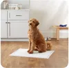 Puppy Pads Welpenunterlagen S/M 35x45 cm 100 stück Training Produktbild-Vorschau 8