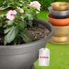 KADAX Doniczka misa miska Do Chryzantem 22 cm Grafit Podgląd zdjęcia produktu 9