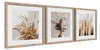 Styler Bilder-Set „Subtle Nature I“ – 3-teilig, je 30 x 30 Produktbild-Vorschau 1