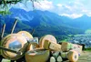 Innichner Butterkäse aus Heumilch ca. 600 gr. - Sennerei Produktbild-Vorschau 2