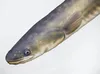Gaby Kissen Aal 115cm Kuscheltier Fisch Stofftier Produktbild-Vorschau 4