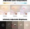 Herzförmige Lampe - LED-Deckenleuchte - 36 W - Stufenlos Produktbild-Vorschau 5