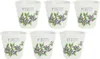 La Porcellana Bianca Set mit 6 Gläsern für Mirto-Likör 75 Produktbild-Vorschau 1