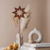 Rostikal fiche de jardin rouille étoile 55 cm Décoration de Voir les images du produit 5